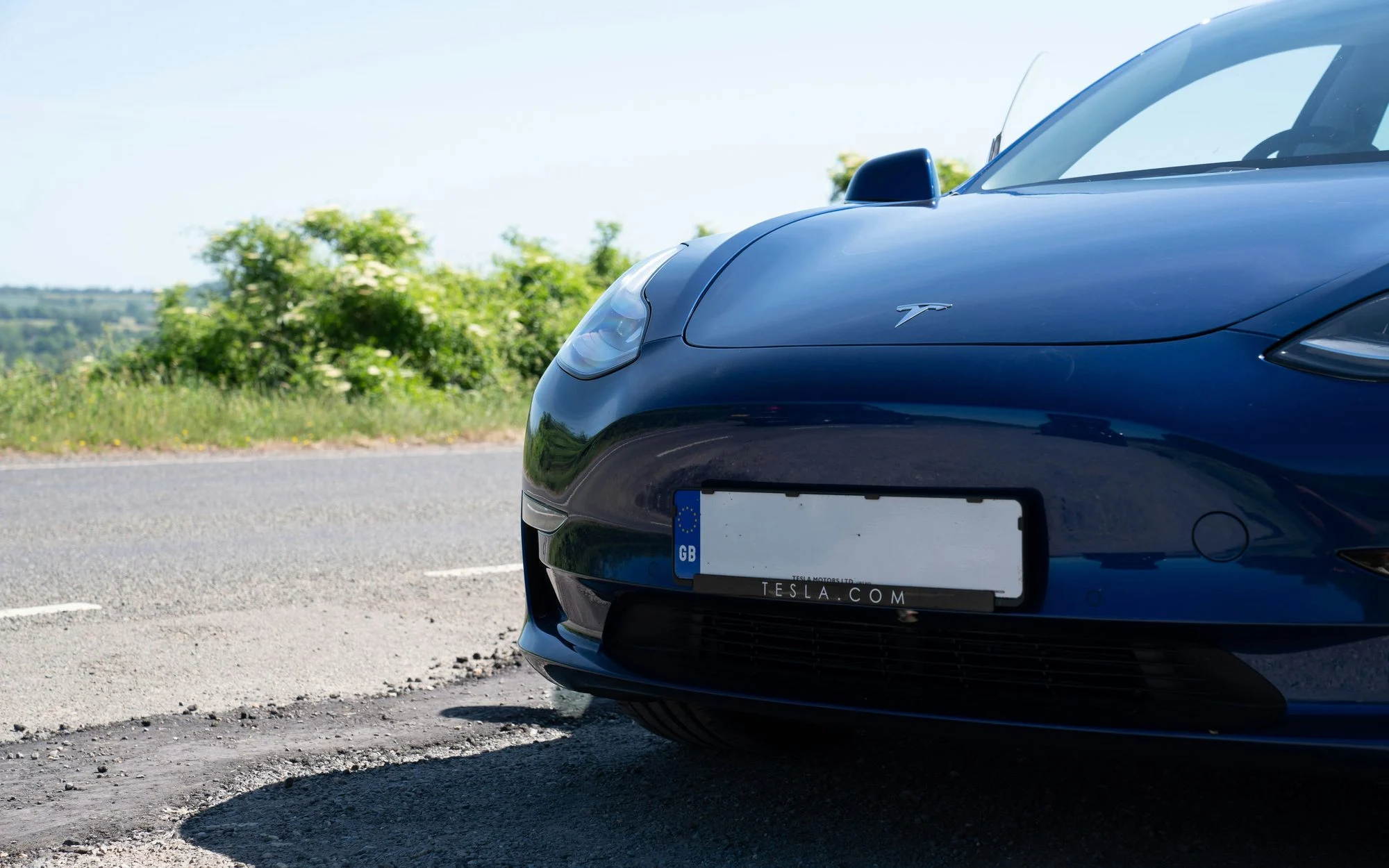 Front of a blue Tesla Model 3 with a blank GB number plate, parked beside a country road and an elderflower hedge